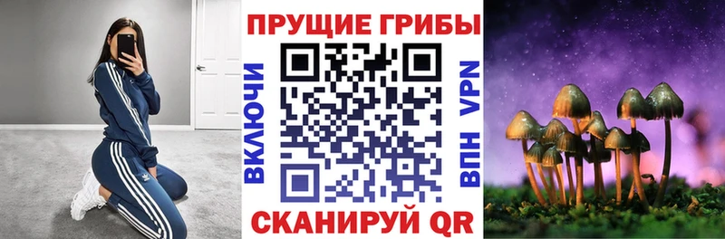 Галлюциногенные грибы ЛСД  купить наркоту  Полярные Зори 